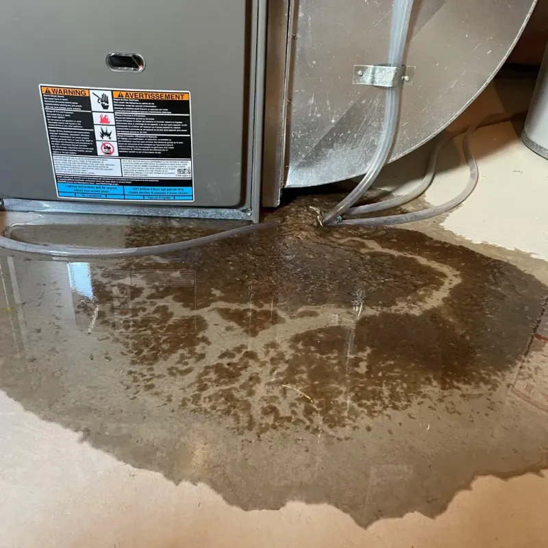 Appliance Leak Cleanup in Elizabeth City, NC